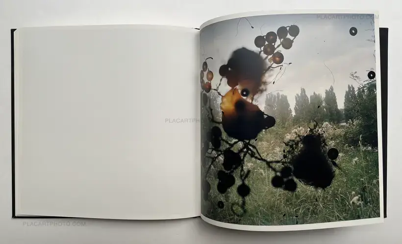Stephen Gill – Talking to Ants (SIGNED)