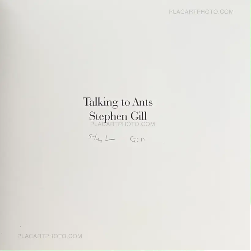 Stephen Gill – Talking to Ants (SIGNED)