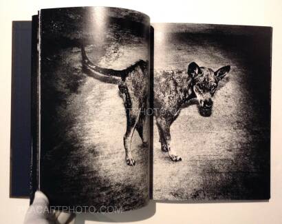Jacob aue Sobol,By the River of Kings Jacob aue Sobol,By the River of Kings