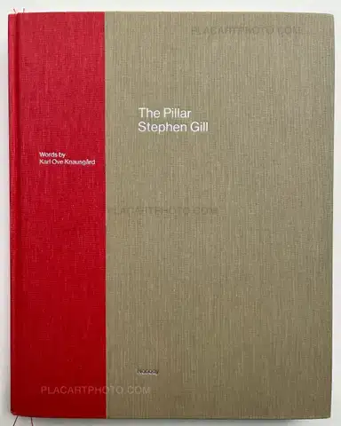 Stephen Gill – The Pillar
