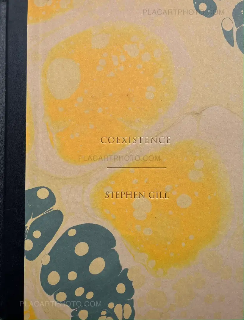 Stephen Gill – Coexistence
