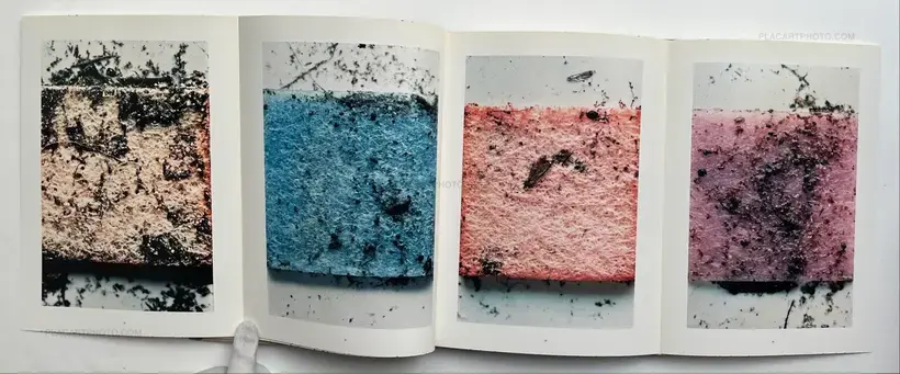 Stephen Gill – Coexistence
