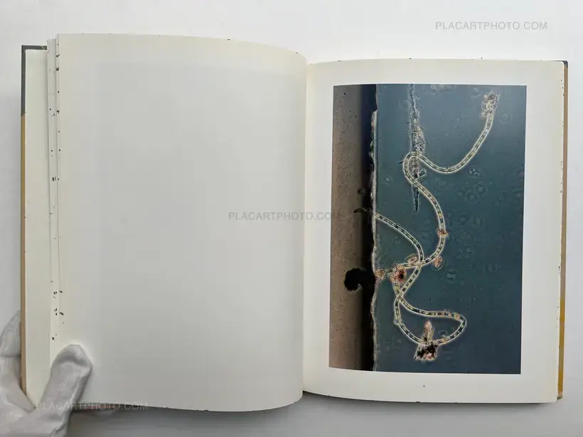 Stephen Gill – Coexistence