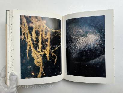 Stephen Gill,Coexistence Stephen Gill,Coexistence
