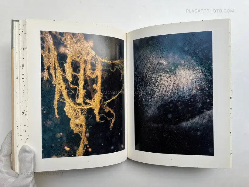 Stephen Gill – Coexistence
