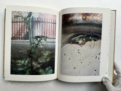 Stephen Gill,Coexistence Stephen Gill,Coexistence