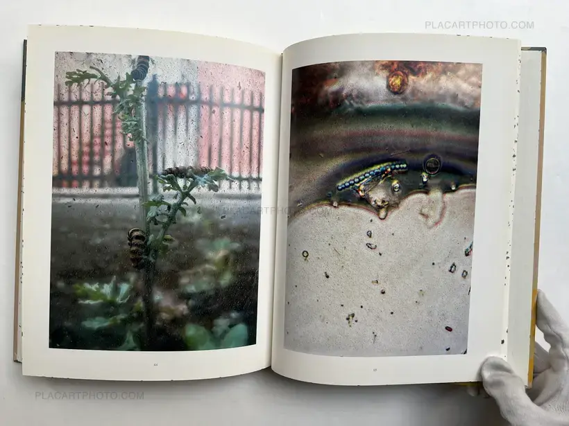 Stephen Gill – Coexistence