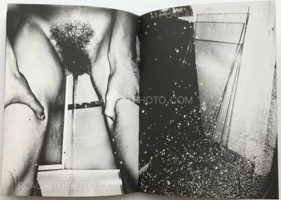 Igor Pisuk,DECEITFUL REVERENCE Igor Pisuk,DECEITFUL REVERENCE