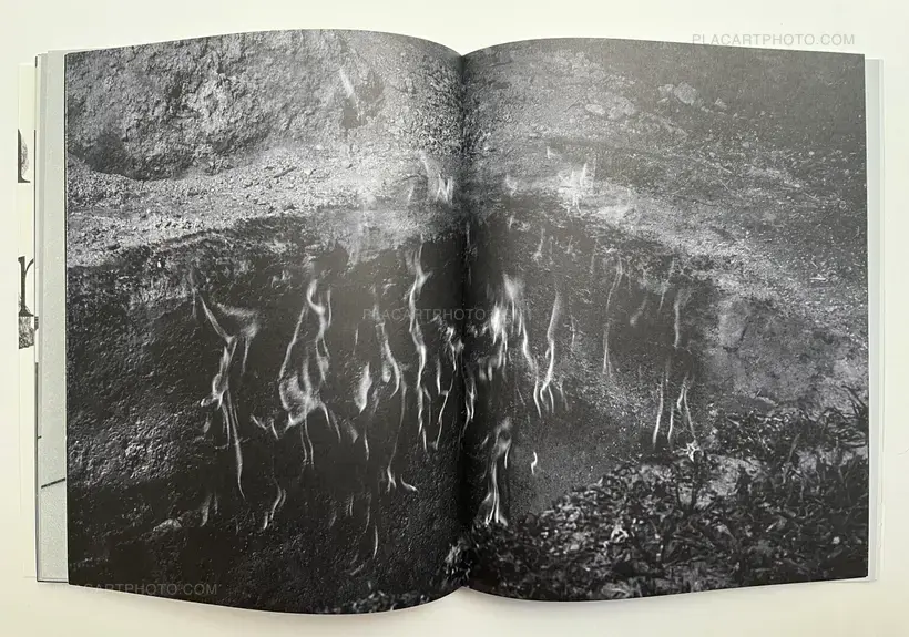 Wouter Van de Voorde – Death is not here