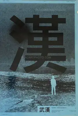 Simon Vansteenwinckel – WUHAN RADIOGRAPHY (SIGNED)