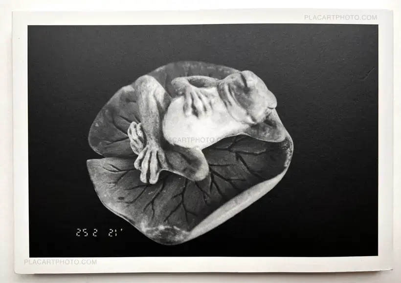 Nobuyoshi Araki – KaoRi Through The Looking Glass: Photo-Mad Old Man A 2015.5.25 75th Birthday