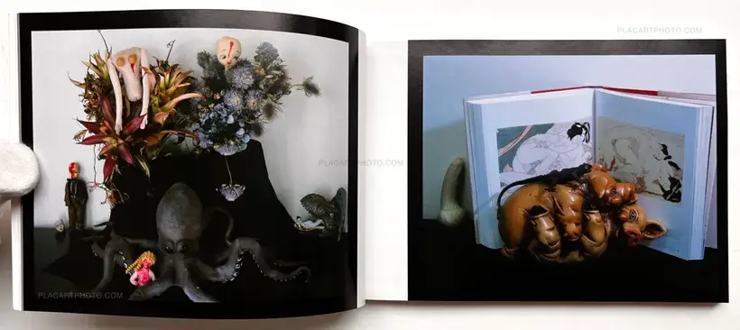 Nobuyoshi Araki – KaoRi Through The Looking Glass: Photo-Mad Old Man A 2015.5.25 75th Birthday