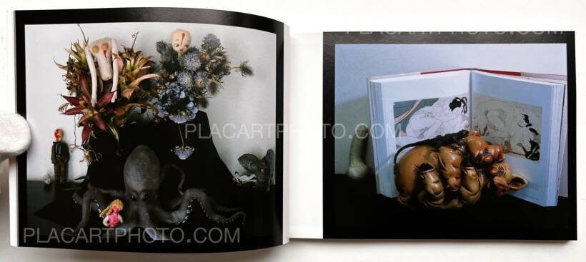 Nobuyoshi Araki: KaoRi Through The Looking Glass: Photo-Mad