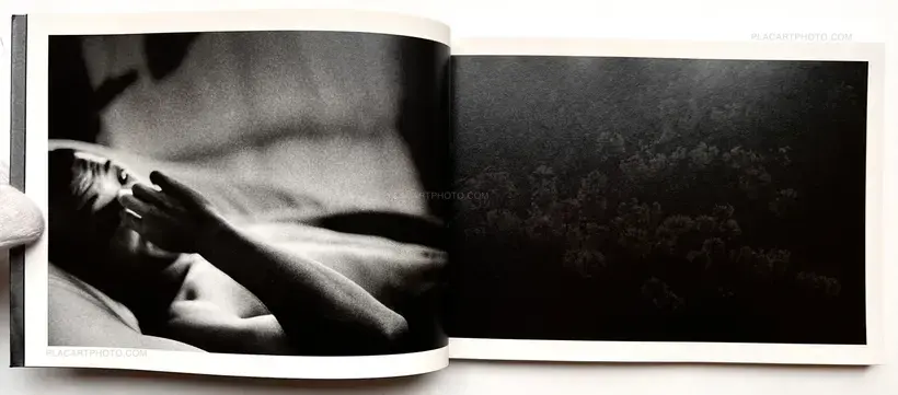 Sakiko Nomura – Ai ni tsuite - ate no nai tabi - tatazumu hikari (About Love - Journey without Destination - Lingering Light)