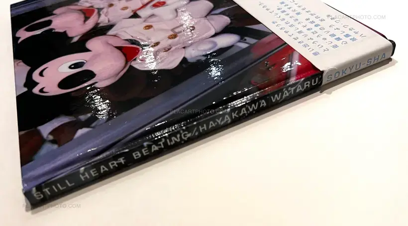 Wataru Hayakawa – Still Heart Beating