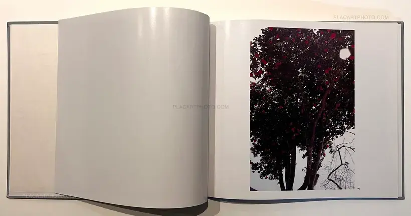 Daido Moriyama – Color 2 (Signed)