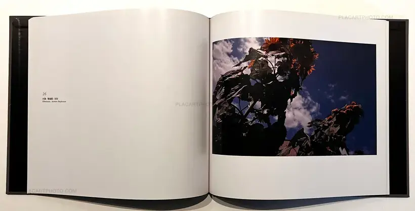 Daido Moriyama – Color