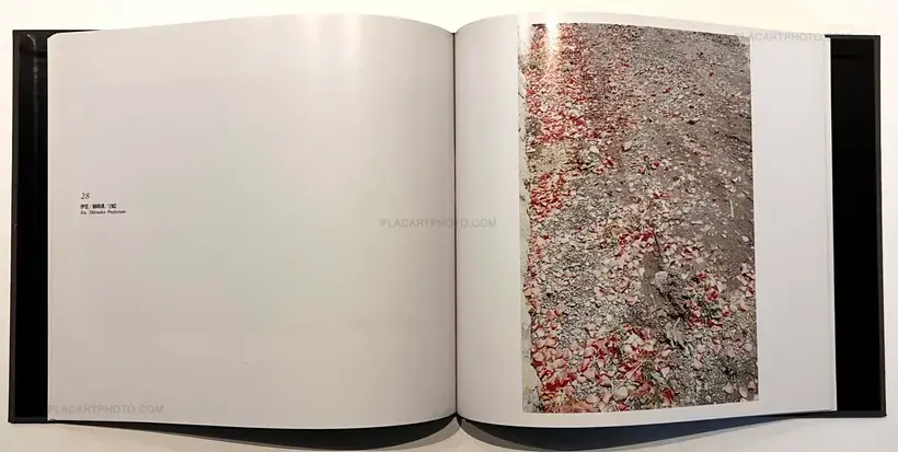 Daido Moriyama – Color