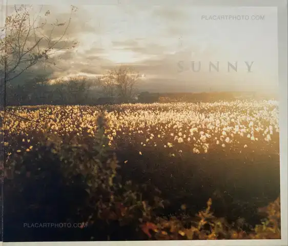 Hiroki Matsui – SUNNY (Signed)