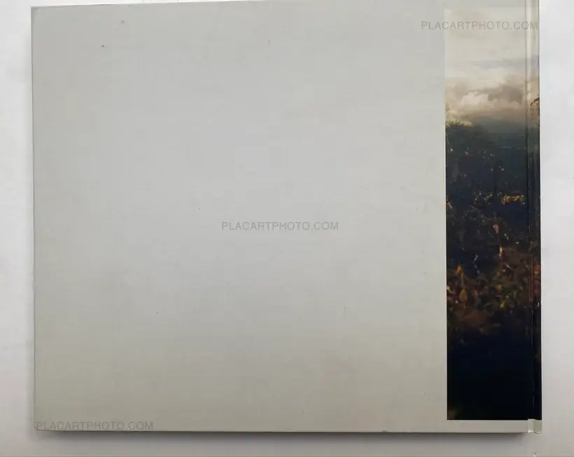 Hiroki Matsui – SUNNY (Signed)