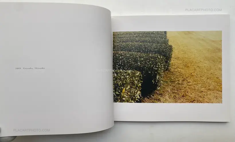 Hiroki Matsui – SUNNY (Signed)
