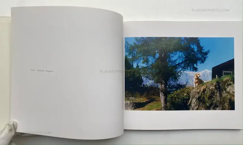 Hiroki Matsui – SUNNY (Signed)