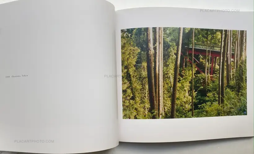 Hiroki Matsui – SUNNY (Signed)