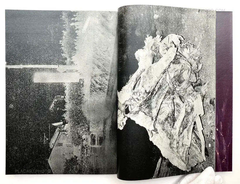 Daisuke Yokota – SADOGASHIMA (Signed)