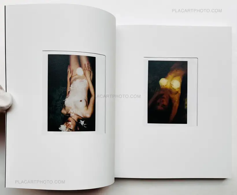 Chan Wai Kwong – Why so shy? (SIGNED)