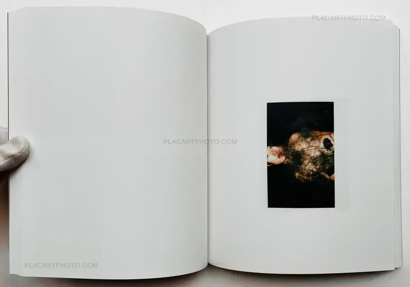 Chan Wai Kwong – Why so shy? (SIGNED)