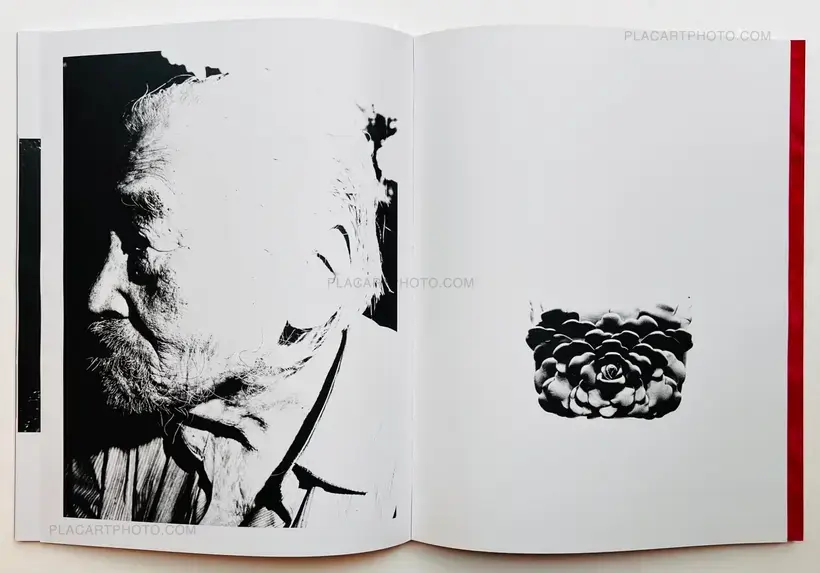 Chan Wai Kwong – Fantastic Central (Signed)