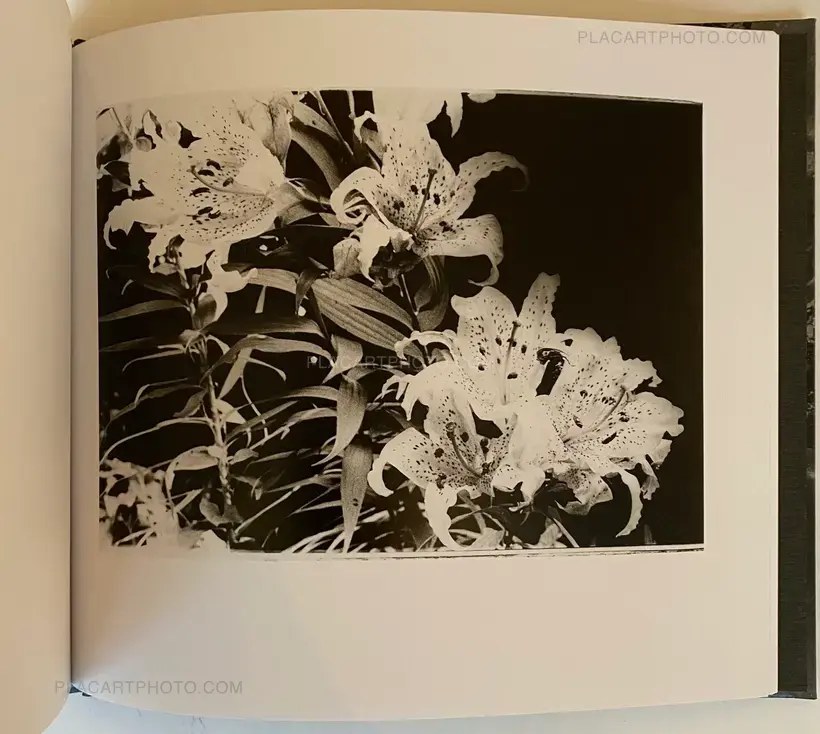 Daido Moriyama – 1980s Remnants