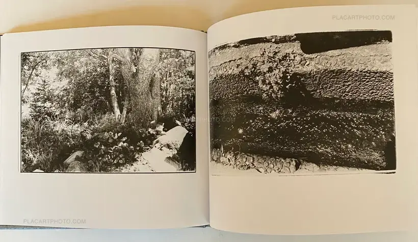 Daido Moriyama – 1980s Remnants