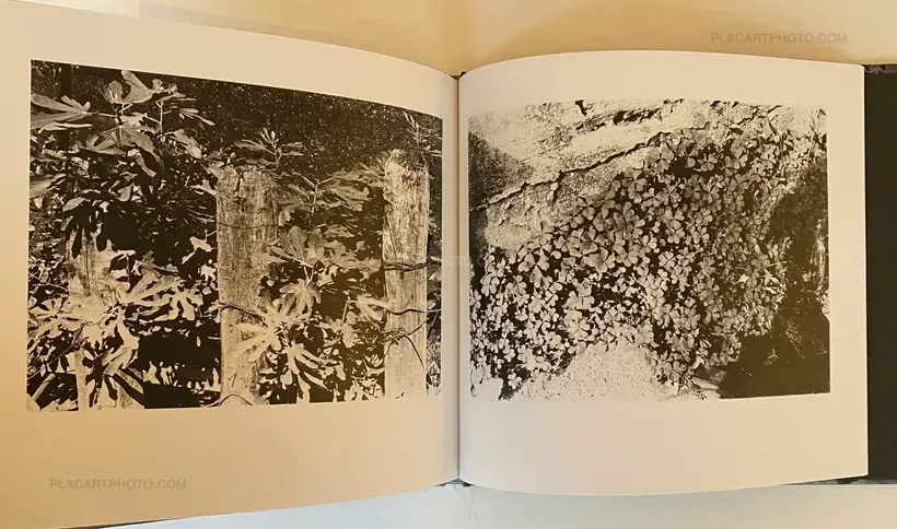Daido Moriyama – 1980s Remnants