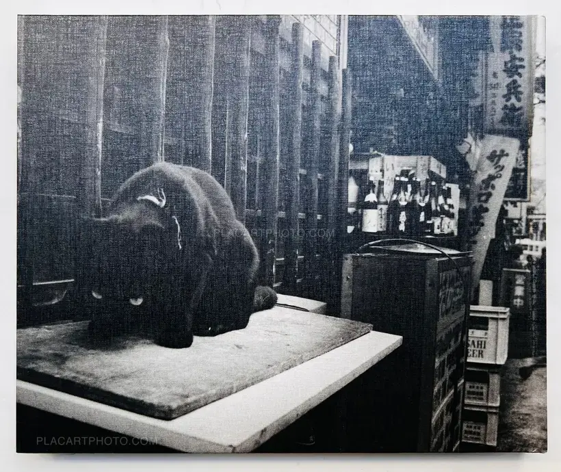 Yoshio Mizoguchi – TOKYO ON THE BRINK OF SANITY (SIGNED)