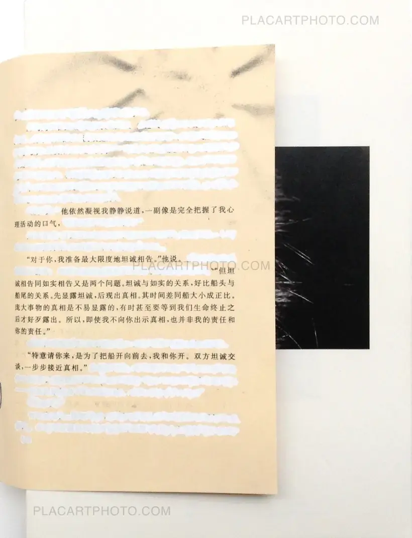 Chen Zhe – Bees & Bearable (Signed)