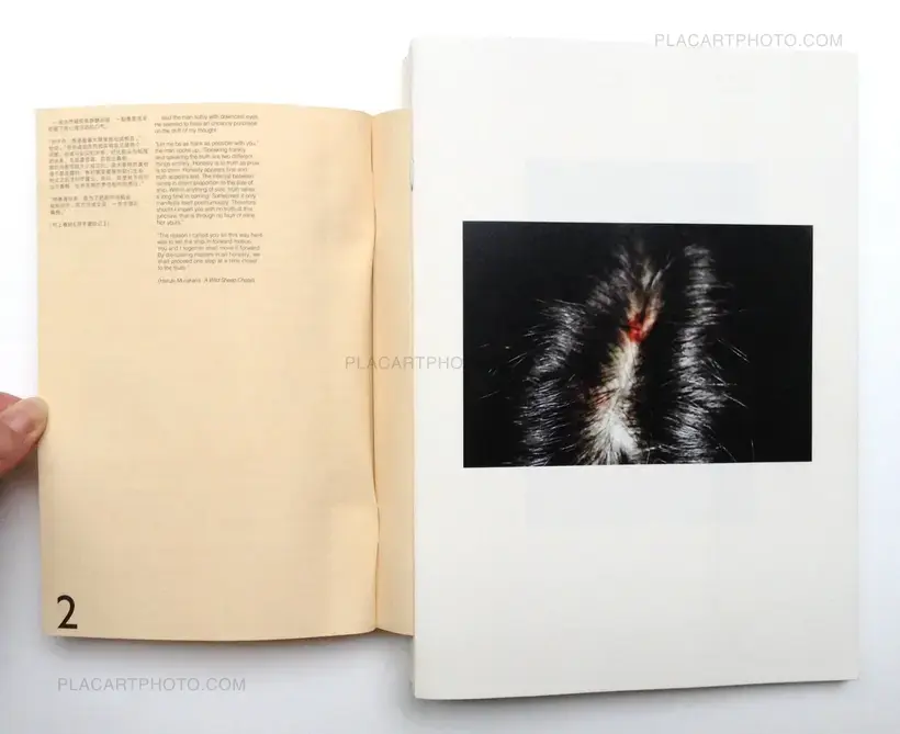 Chen Zhe – Bees & Bearable (Signed)