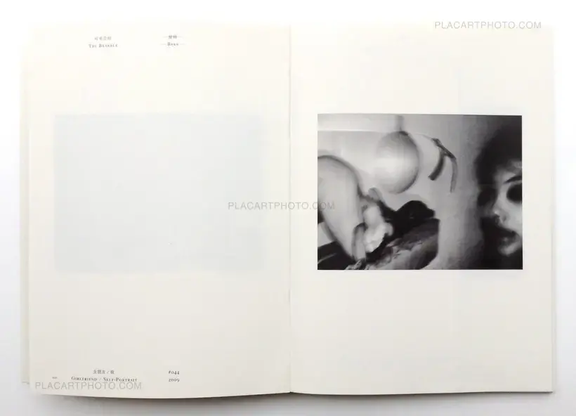 Chen Zhe – Bees & Bearable (Signed)