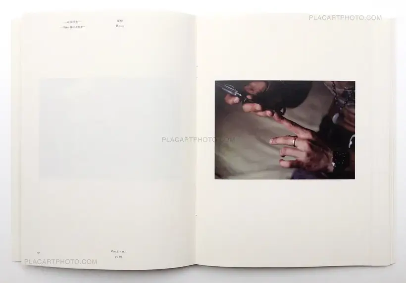 Chen Zhe – Bees & Bearable (Signed)