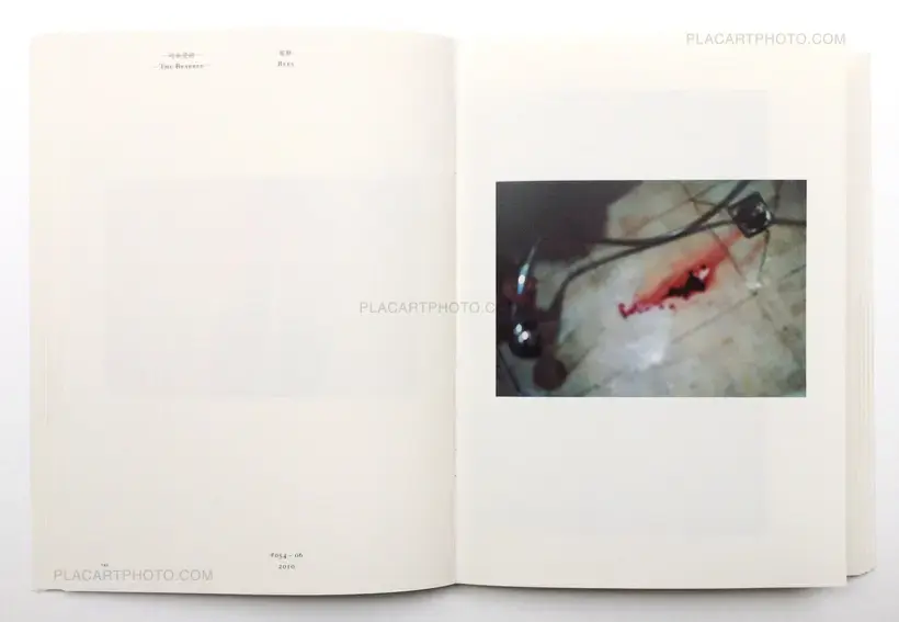 Chen Zhe – Bees & Bearable (Signed)