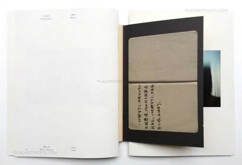 Chen Zhe – Bees & Bearable (Signed)