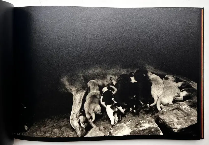 Zana Briski – BROTHEL (SIGNED)