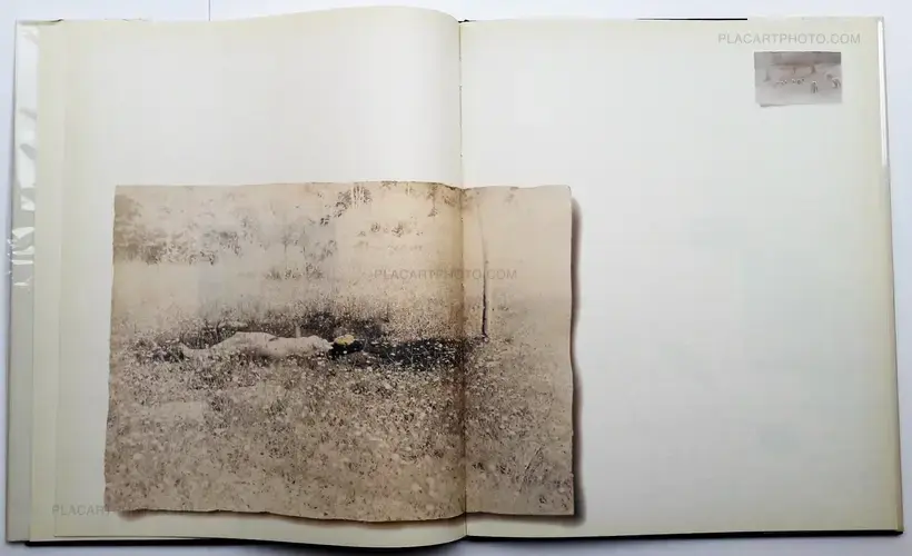 Masao Yamamoto – E (SIGNED)