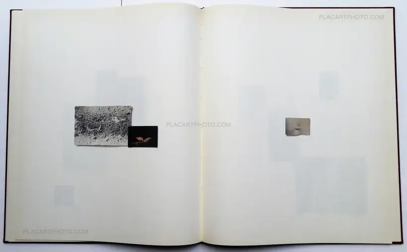 Masao Yamamoto – E (SIGNED)
