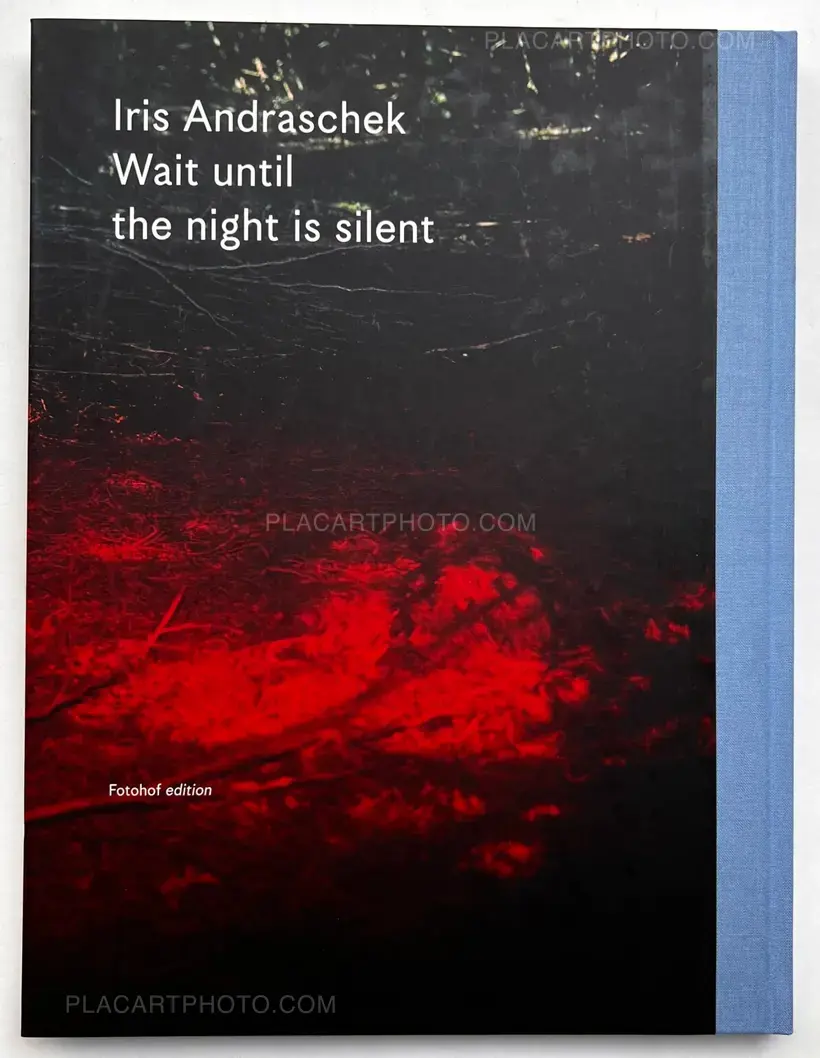Iris Andraschek – Wait until the night is silent