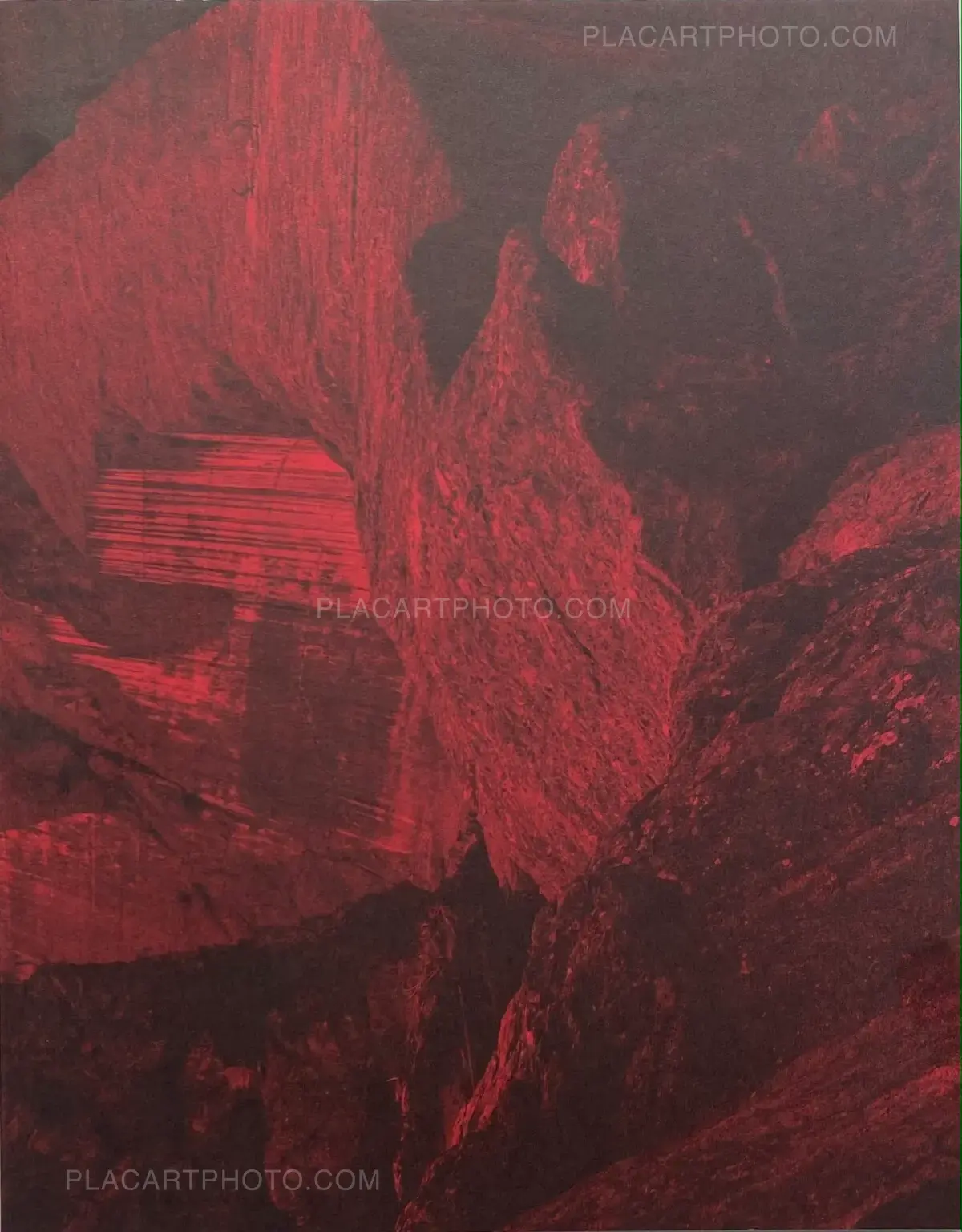 Geert Goiris, Prolifération (with signed print), Roma Publications