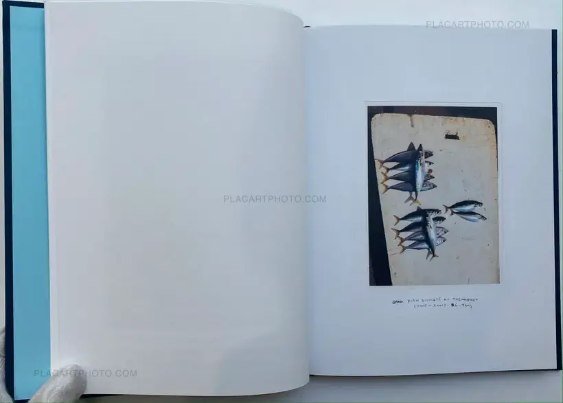 Collective – Pez Suelto