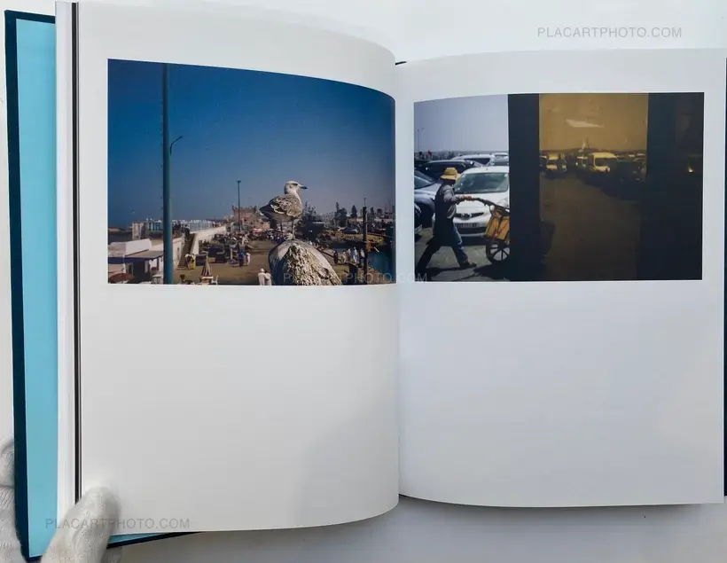 Collective – Pez Suelto