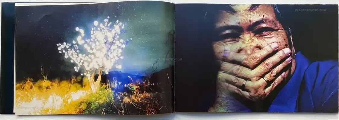 Lieko Shiga – CANARY (WITH OBI)