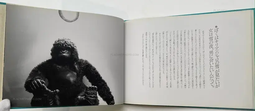 Shimpei Asai – Kaze No Ehagaki